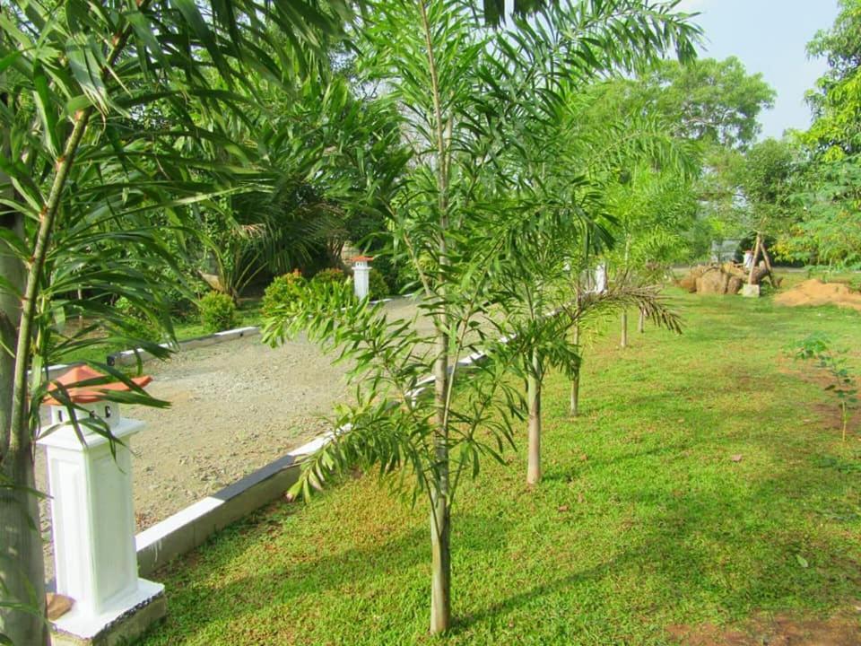 Hotel Tree Garden Wilpaththu Nochchiyagma Anuradhapura Nochchiyagama Exterior foto