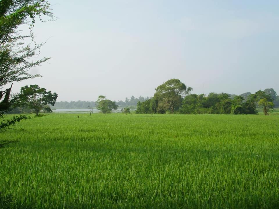 Hotel Tree Garden Wilpaththu Nochchiyagma Anuradhapura Nochchiyagama Exterior foto