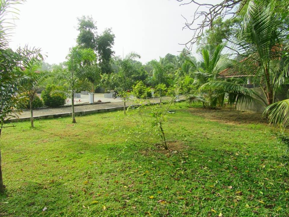 Hotel Tree Garden Wilpaththu Nochchiyagma Anuradhapura Nochchiyagama Exterior foto