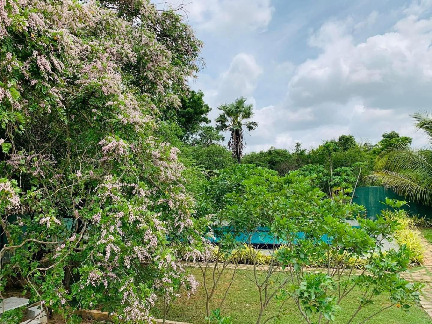 Hotel Tree Garden Wilpaththu Nochchiyagma Anuradhapura Nochchiyagama Exterior foto