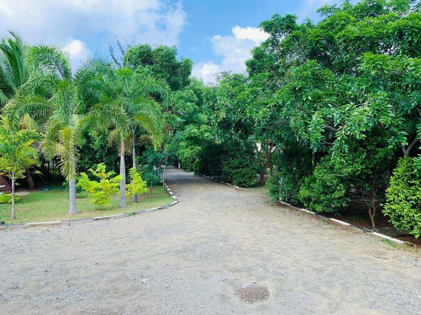 Hotel Tree Garden Wilpaththu Nochchiyagma Anuradhapura Nochchiyagama Exterior foto